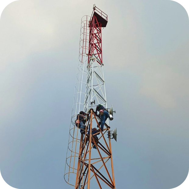 Mantenimiento torre autosportada